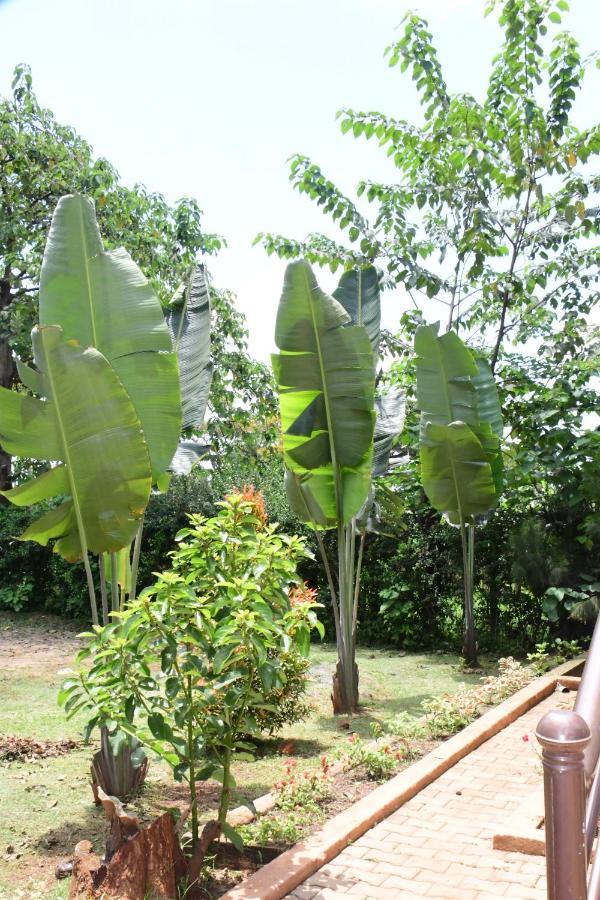 Golden Cherries Guest House Jinja Luaran gambar
